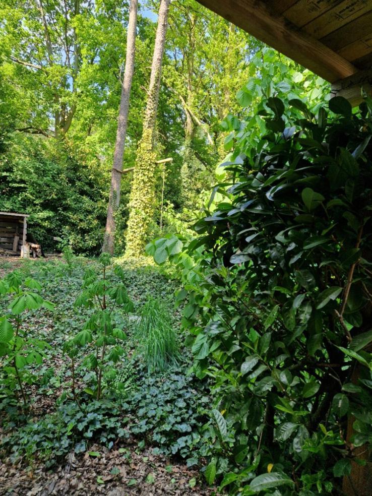 BenB Op de Vleet Bed and Breakfast Plantage Centrum Buitenkant foto